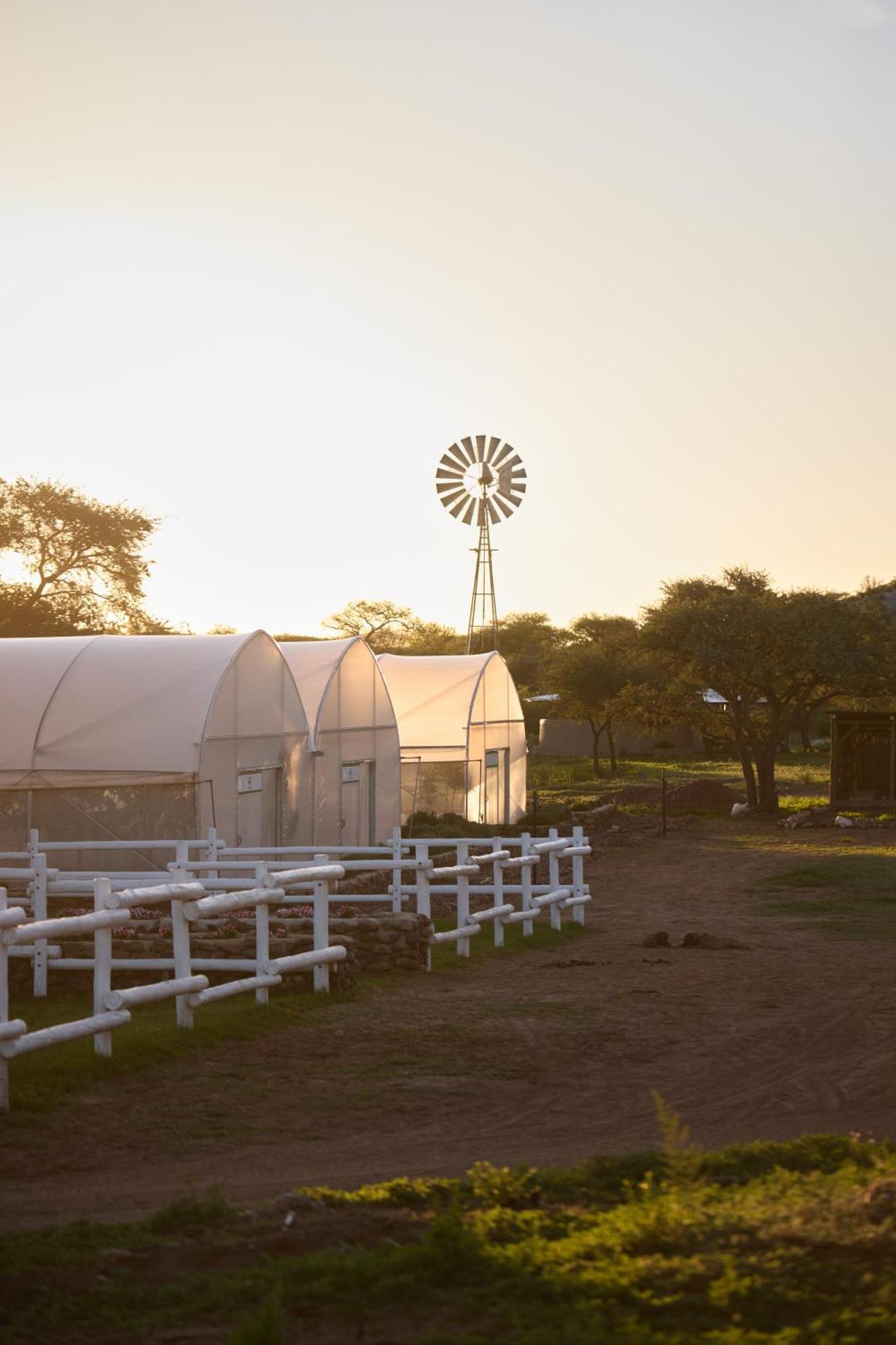 Gmundner Lodge Windhoek Kültér fotó