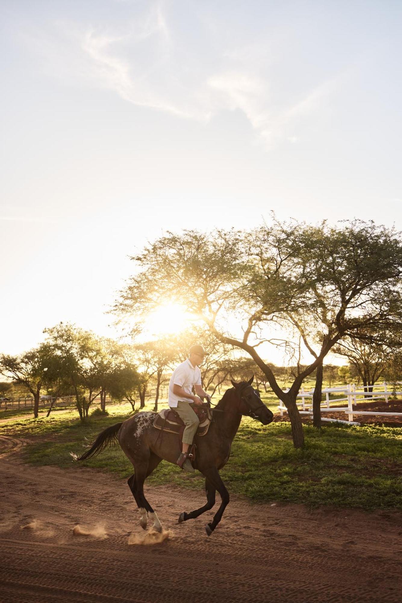 Gmundner Lodge Windhoek Kültér fotó